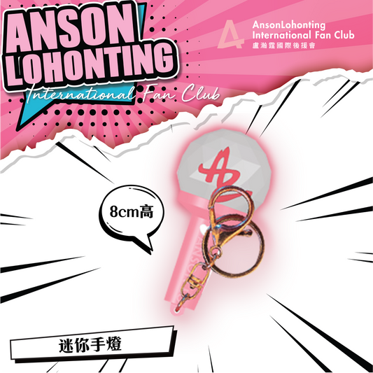 ALFC LED 互動手燈及迷你手燈